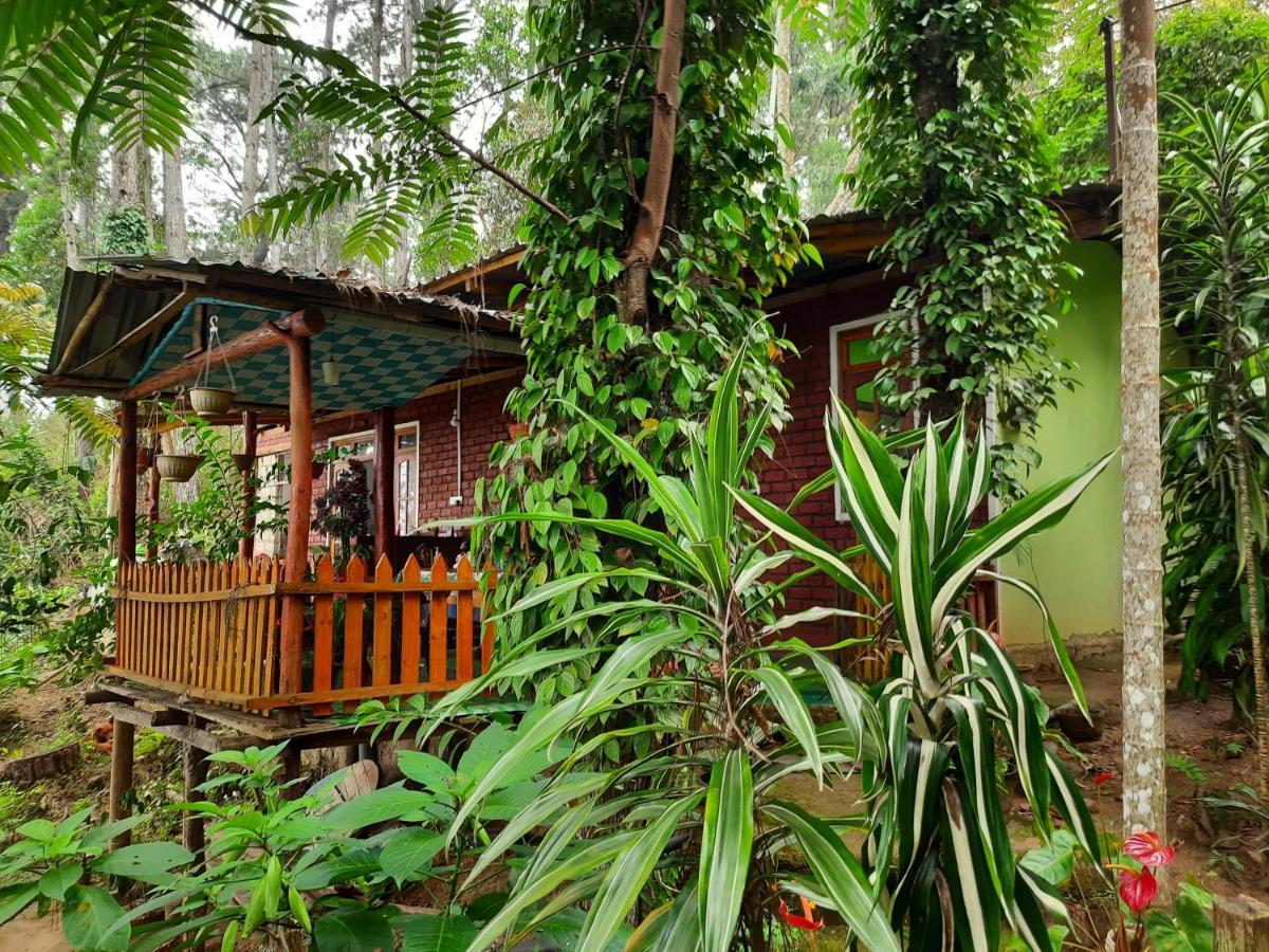 Green Heaven Lodge Procida Dış mekan fotoğraf