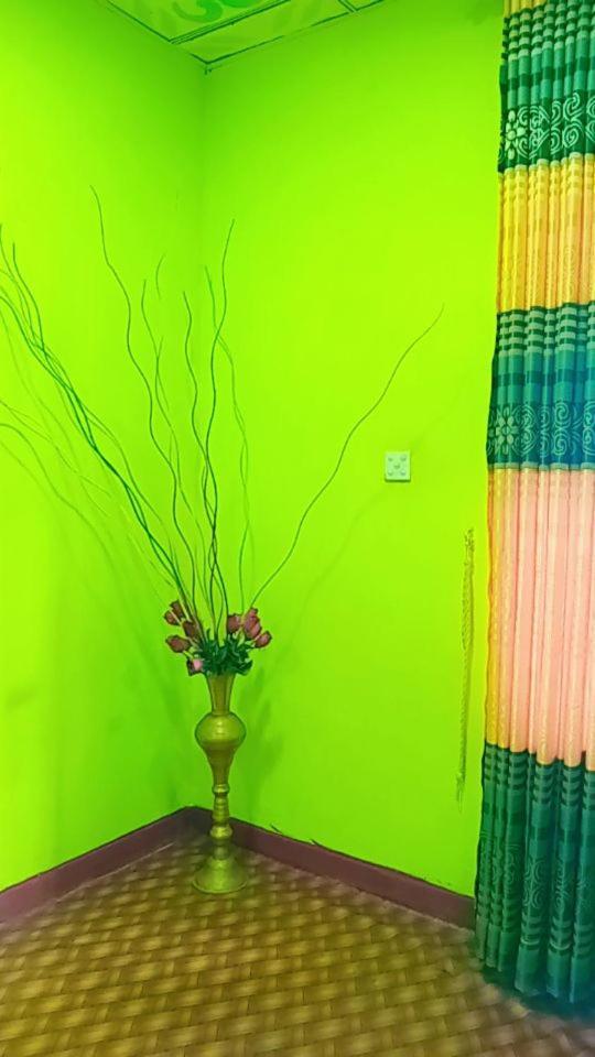 Green Heaven Lodge Procida Dış mekan fotoğraf