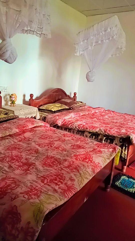 Green Heaven Lodge Procida Dış mekan fotoğraf