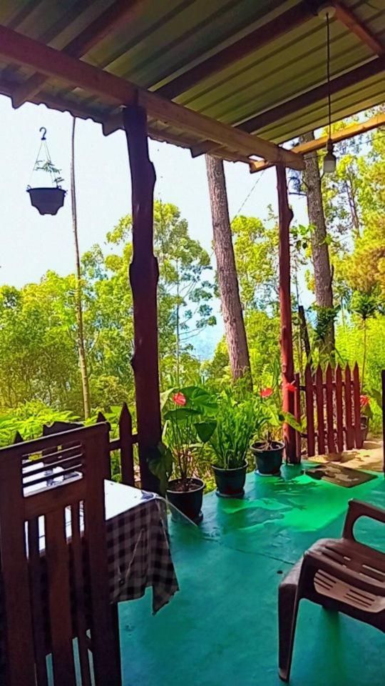 Green Heaven Lodge Procida Dış mekan fotoğraf