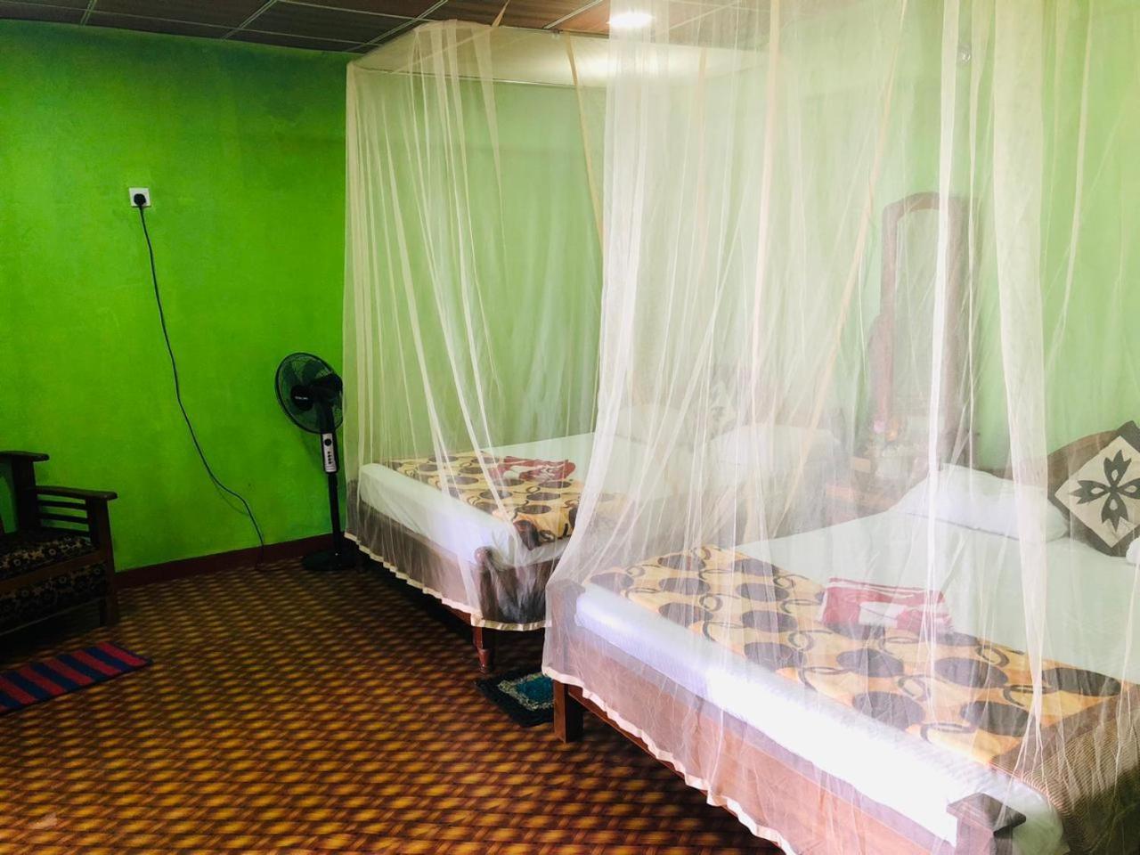 Green Heaven Lodge Procida Dış mekan fotoğraf